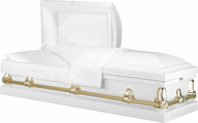 Bradford White/White