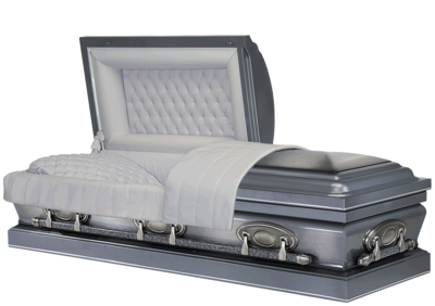 3851 Silver Pearl Brushed