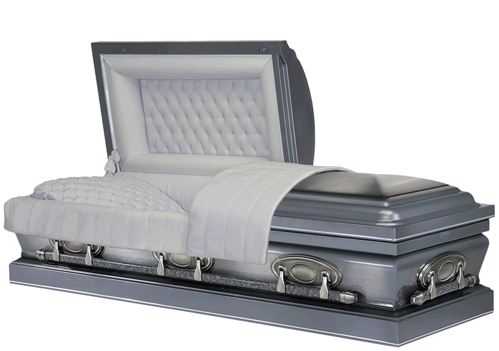 3851 Silver Pearl Brushed