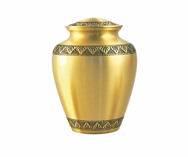 Elite Athena Bronze Full Size