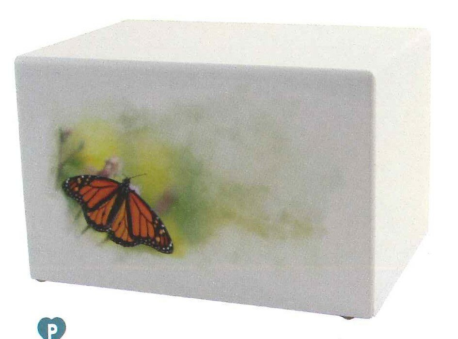 Somerset Butterfly Full Size