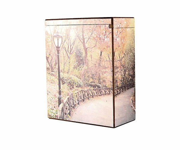 Scattering Pathway Full Size